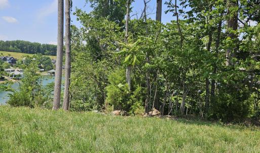 Tree buffer  on left side of lot