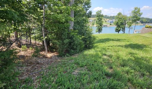 Tree buffer to left  of lot