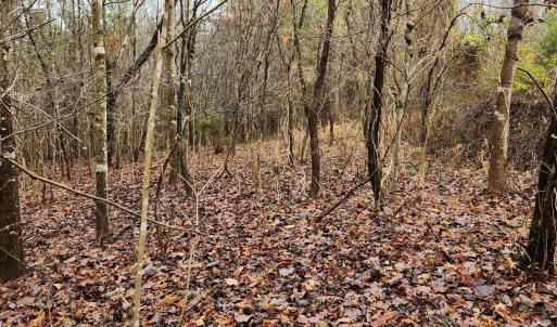 LOT 6 Brooks Mill Rd.
