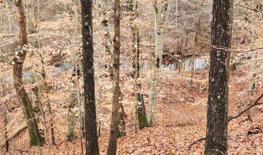 LOT 6 Brooks Mill Rd.