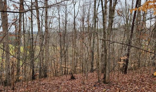 LOT 6 Brooks Mill Rd.
