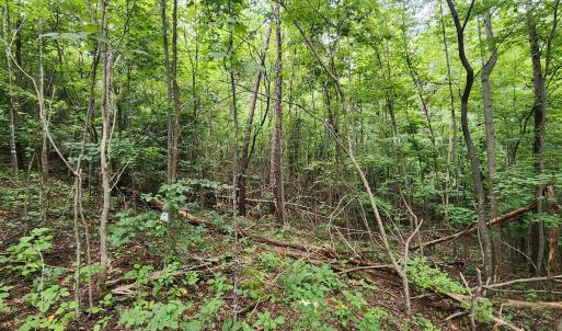 LOT 6 Brooks Mill Rd.