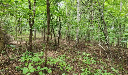LOT 6 Brooks Mill Rd.