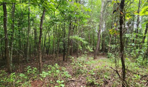 LOT 6 Brooks Mill Rd.