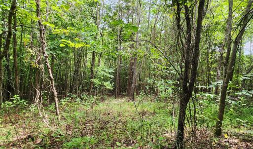 LOT 6 Brooks Mill Rd.