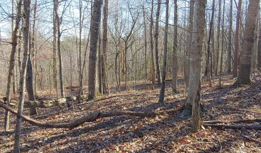 LOT 1 Truman Hill Rd.