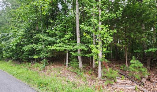 LOT 1 Truman Hill Rd.