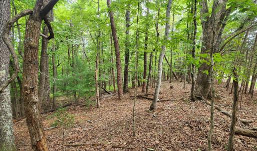 LOT 1 Truman Hill Rd.