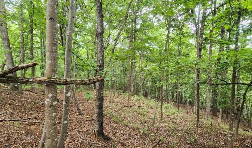 LOT 1 Truman Hill Rd.
