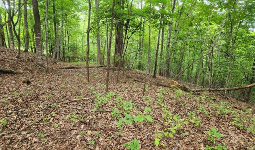 LOT 1 Truman Hill Rd.