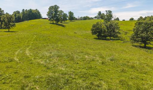 DJI_20260812134837_0581_D