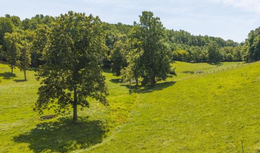 DJI_20260812134859_0583_D