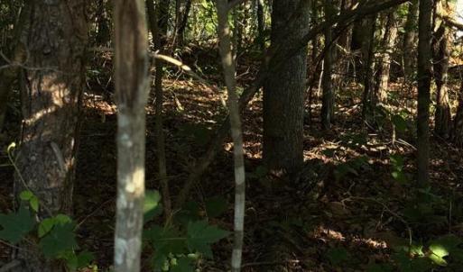 Photo #4 of KIRTLEY TRL, CULPEPER, VA 31.1 acres