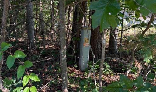 Photo #3 of KIRTLEY TRL, CULPEPER, VA 31.1 acres