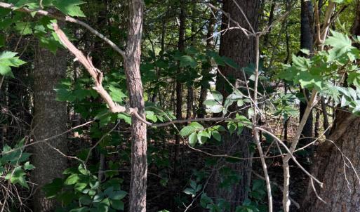 Photo #1 of KIRTLEY TRL, CULPEPER, VA 31.1 acres