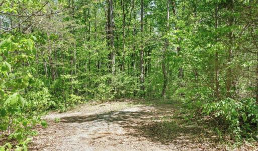 04-1512 Snow Creek Rd-4