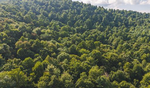 DJI_20260819172215_0804_D