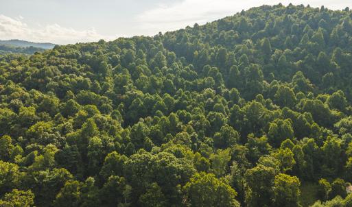 DJI_20260819172534_0810_D