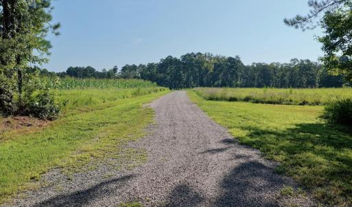 Clarksville - 4