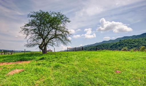 wytheville-133