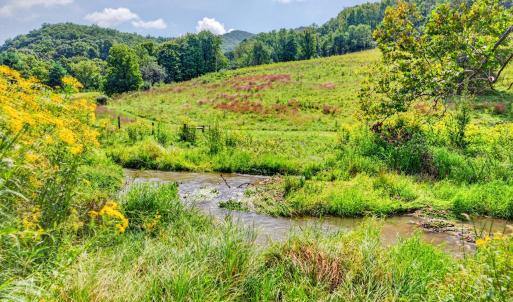 wytheville-151