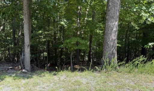 Lot 21 Fields Ave.