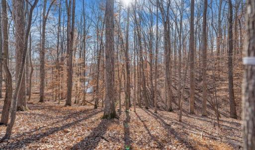 Lot 8, Leeward Drive