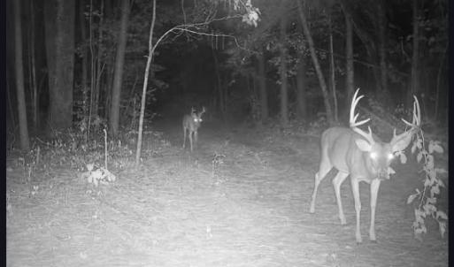 image000002
