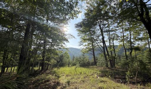 Pittsylvania Co. VA - Lot 98A Eagle Poin