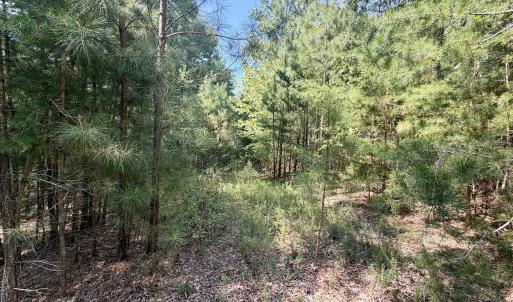 Pittsylvania Co. VA - Lot 98A Eagle Poin