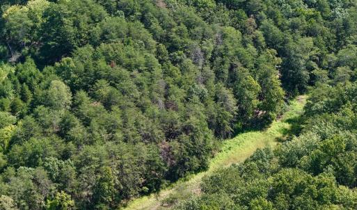 Pittsylvania Co. VA - Lot 98A Eagle Poin