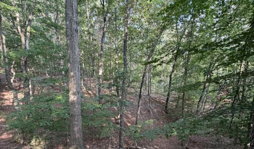 Pittsylvania Co. VA - Lot 98A Eagle Poin