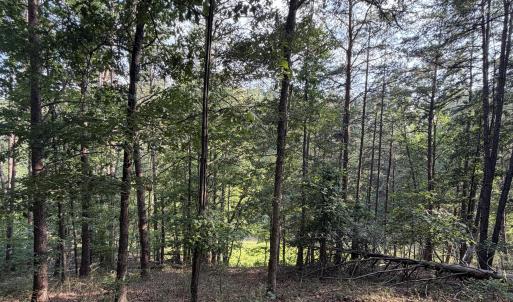 Pittsylvania Co. VA - Lot 98A Eagle Poin