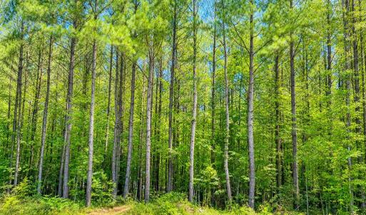 Photo #1 of GOVERNOR ALMOND RD, LOCUST GROVE, VA 2.1 acres