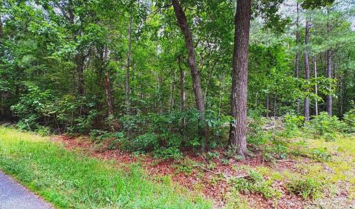 Photo #1 of GOVERNOR ALMOND RD, LOCUST GROVE, VA 2.0 acres