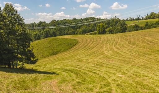 DJI_20260903135040_0976_D