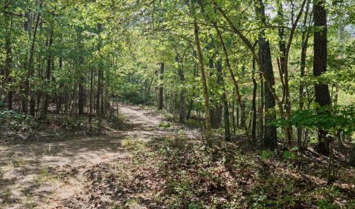 Bedford Co. VA - 0 Timberland Trail- 16