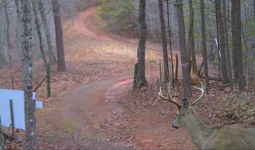 Bedford Co. VA - 0 Timberland Trail- Wil