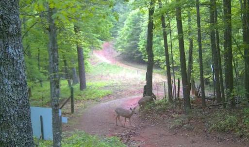 Bedford Co. VA - 0 Timberland Trail- Wil
