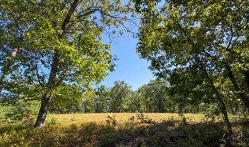Bedford Co. VA - 0 Timberland Trail- Gro