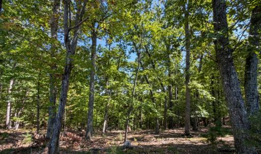 Bedford Co. VA - 0 Timberland Trail- Gro