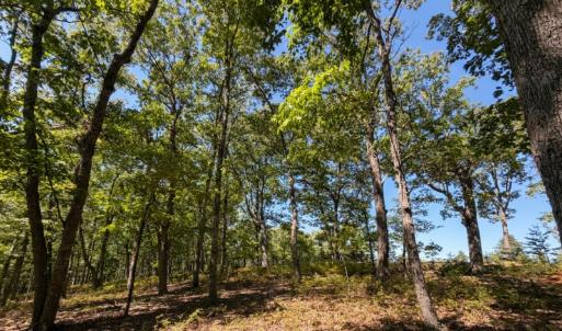 Bedford Co. VA - 0 Timberland Trail- Gro
