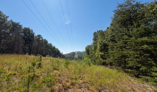 Bedford Co. VA - 0 Timberland Trail- Gro