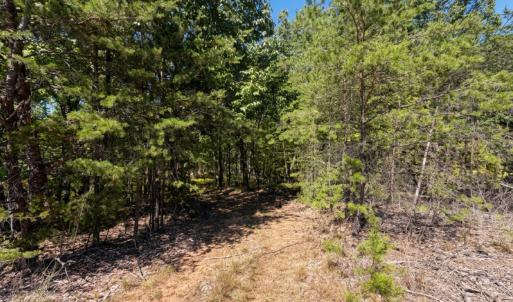 Bedford Co. VA - 0 Timberland Trail- Gro