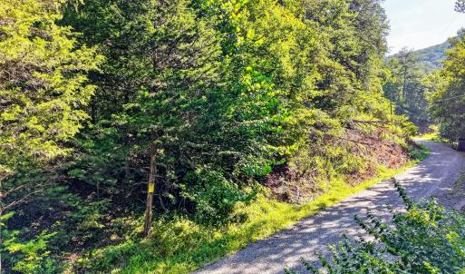 elliston-2
