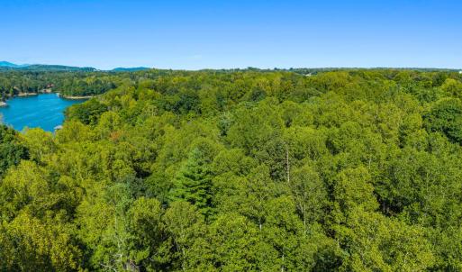 Aerial Tree Line 2