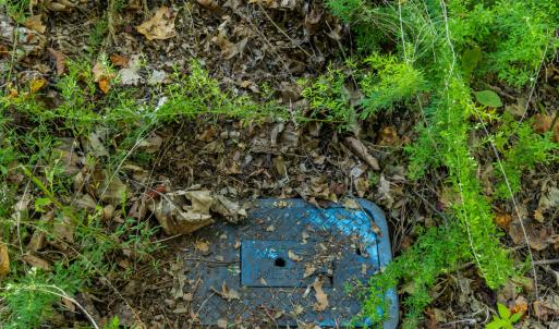 Ground IMG_0025