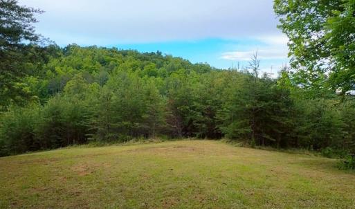 Lot 1 Bear Ln.