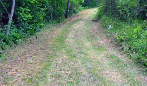 Lot 1 Bear Ln.