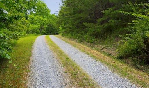 Lot 1 Bear Ln.